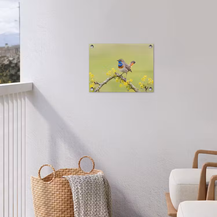 Vogel - Tak - Natuur - Kleurrijk tuinposter los doek klein -sfeer8