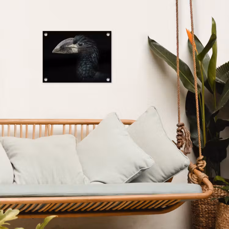 Vogel - Portret - Neushoornvogel - Zwart - Dieren tuinposter los doek klein -sfeer7