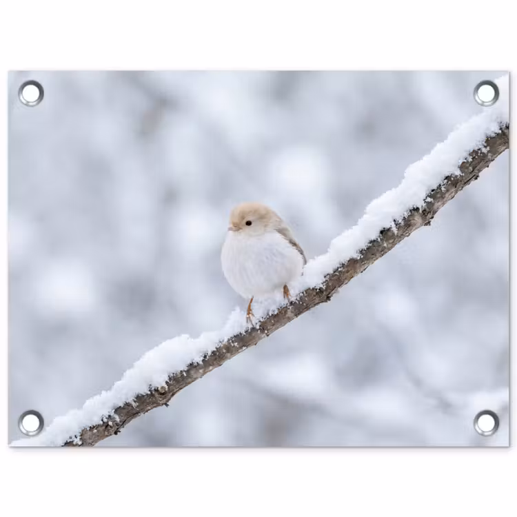 Vogeltje - Sneeuw - Tak - Winter - Zacht tuinposter los doek klein -3d