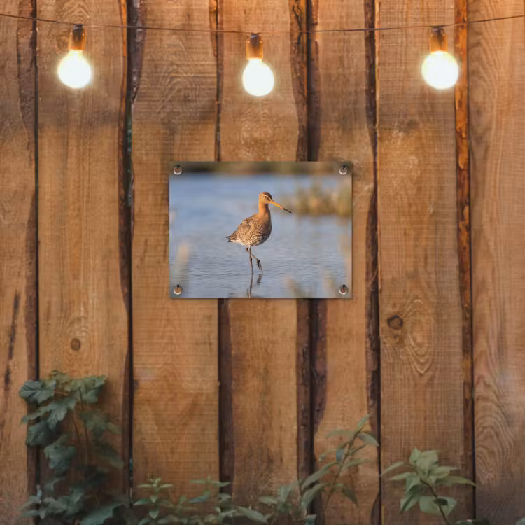 Vogel - Steltloper - Water - Natuur tuinposter los doek klein -sfeer1