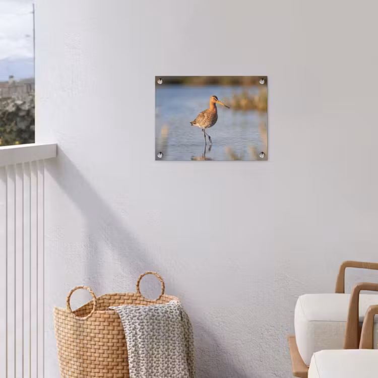 Vogel - Steltloper - Water - Natuur tuinposter los doek klein -sfeer8