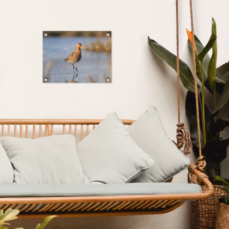 Vogel - Steltloper - Water - Natuur tuinposter los doek klein -sfeer7