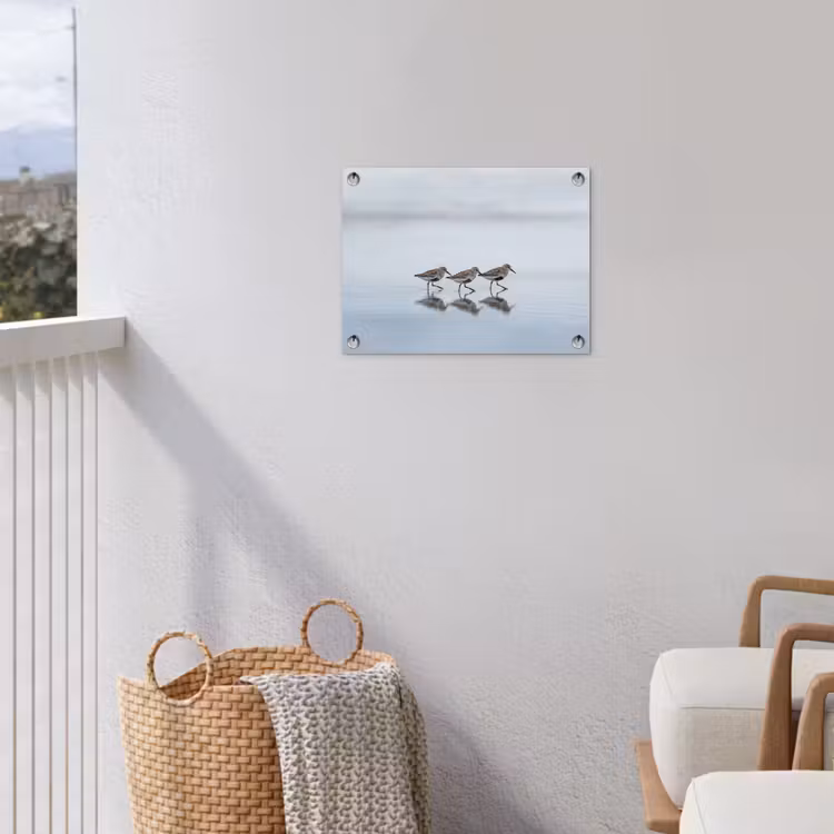 Vogels - Water - Grijs tuinposter los doek klein -sfeer8
