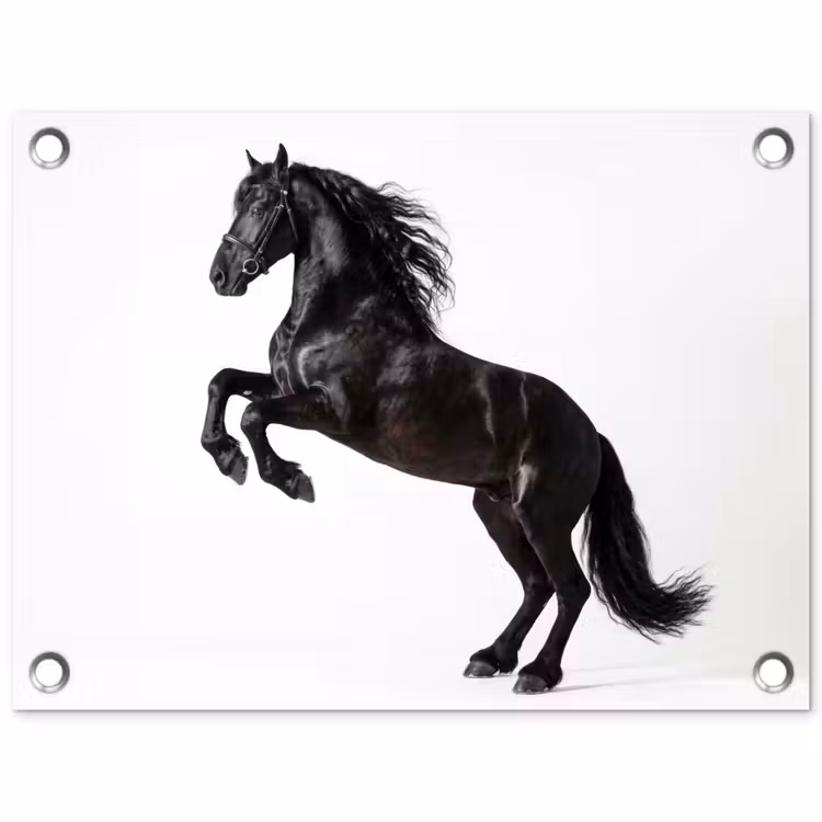 Zwart - Paard - Portret tuinposter los doek klein -3d