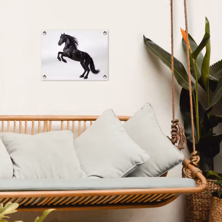 Zwart - Paard - Portret tuinposter los doek klein -sfeer7