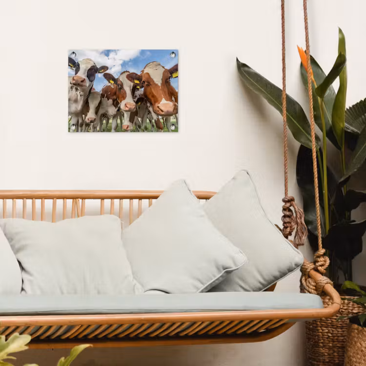 Bruin-witte koeien in de wei tuinposter los doek klein -sfeer7