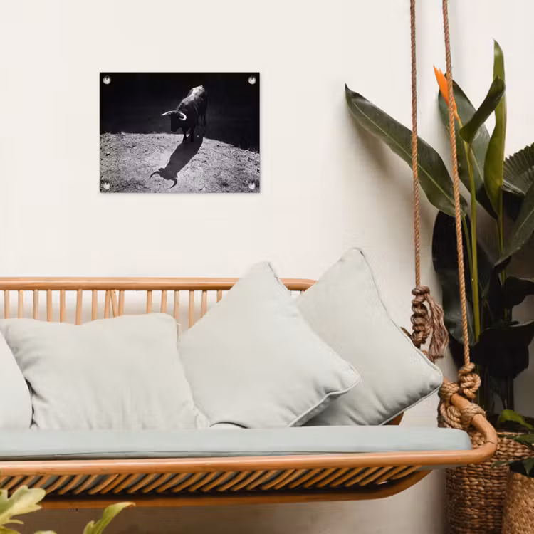 Stier - Schaduw - Dieren - Contrast - Zwart-wit tuinposter los doek klein -sfeer7