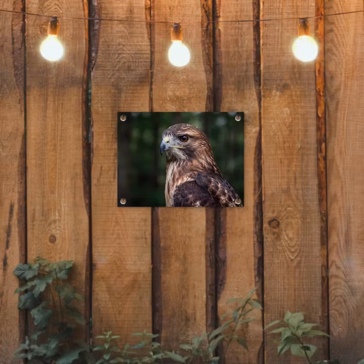 Buizerd - Roofvogel - Natuur - Bruin tuinposter los doek klein -sfeer1
