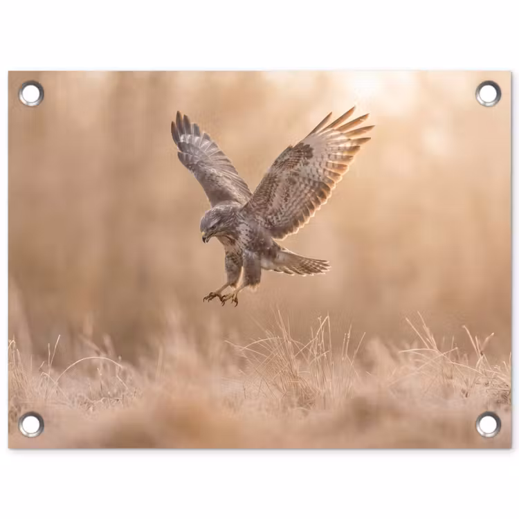 Buizerd - Roofvogel - Natuur - Bruin tuinposter los doek klein -3d