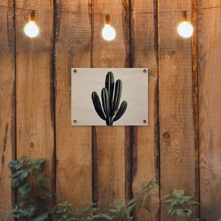 Cactus - Subtiel - Groen tuinposter los doek klein -sfeer1
