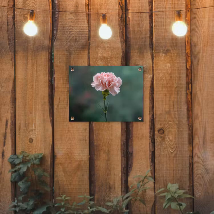 Anjer - Roze - Bloemblaadjes tuinposter los doek klein -sfeer1