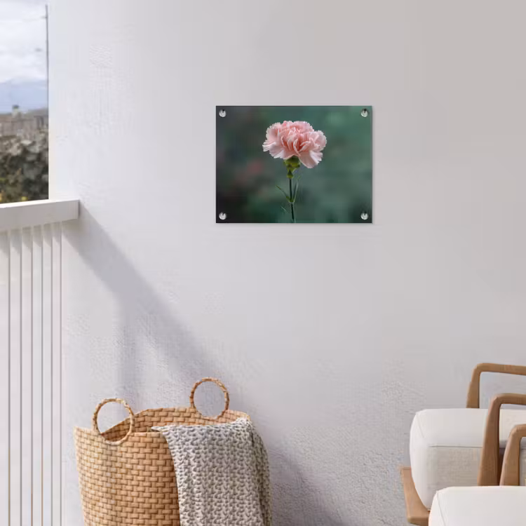 Anjer - Roze - Bloemblaadjes tuinposter los doek klein -sfeer8