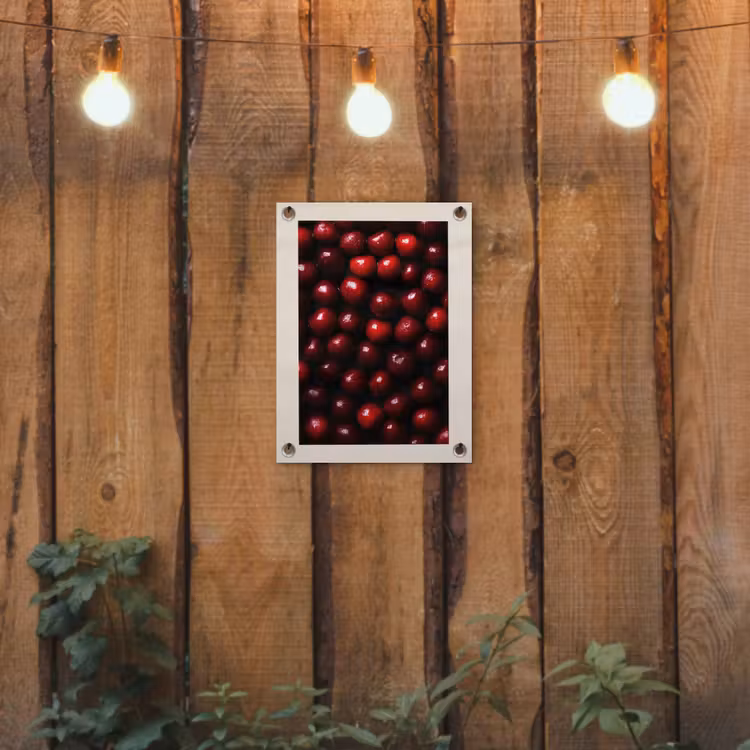 Kersen - Rood tuinposter los doek klein -sfeer1