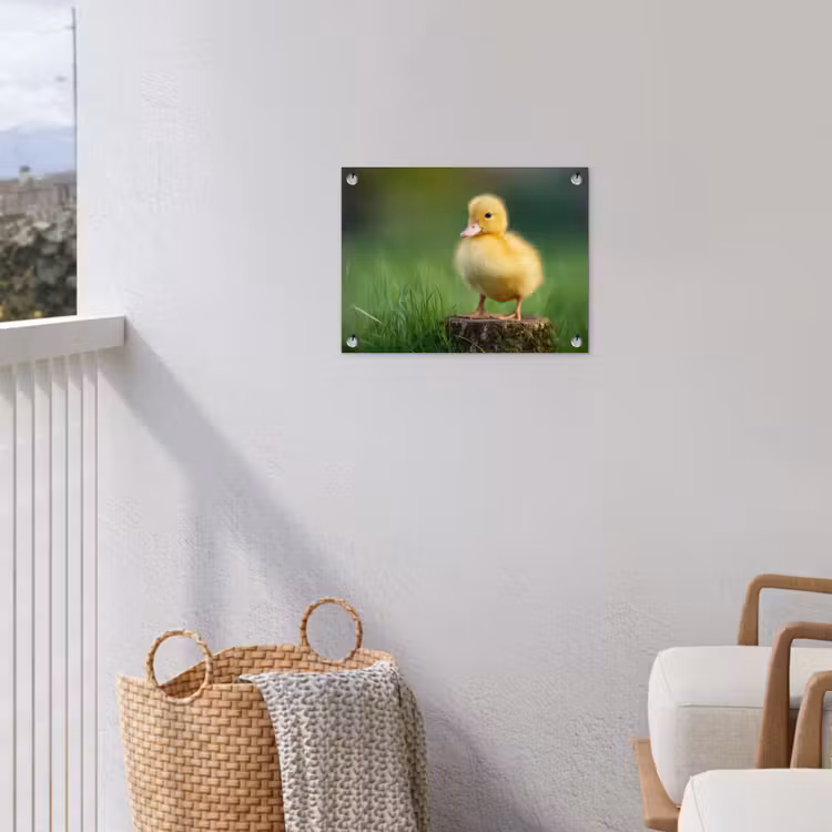 Kuiken - Eend - Geel - Gras tuinposter los doek klein -sfeer8