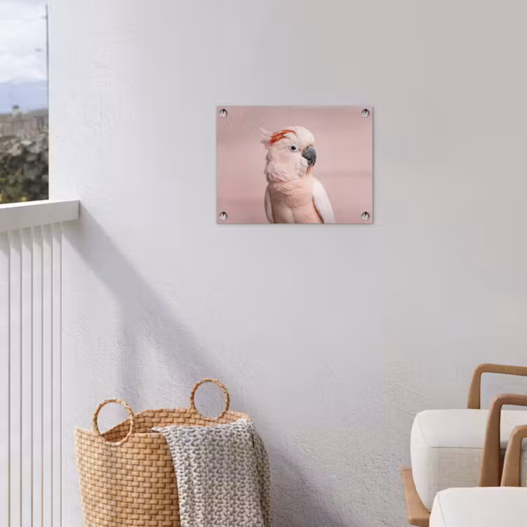 Kaketoe - Portret - Roze tuinposter los doek klein -sfeer8