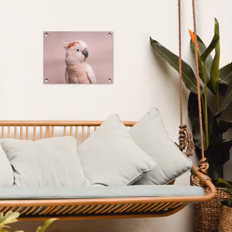 Kaketoe - Portret - Roze tuinposter los doek klein -sfeer7