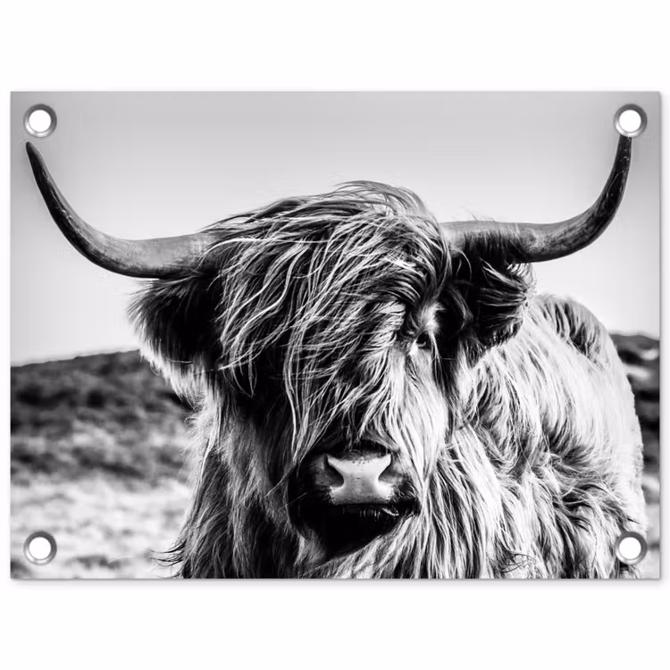 Koe - Schotse hooglander - Zwart - Wit - Dier - Natuur - Wild tuinposter los doek klein -3d