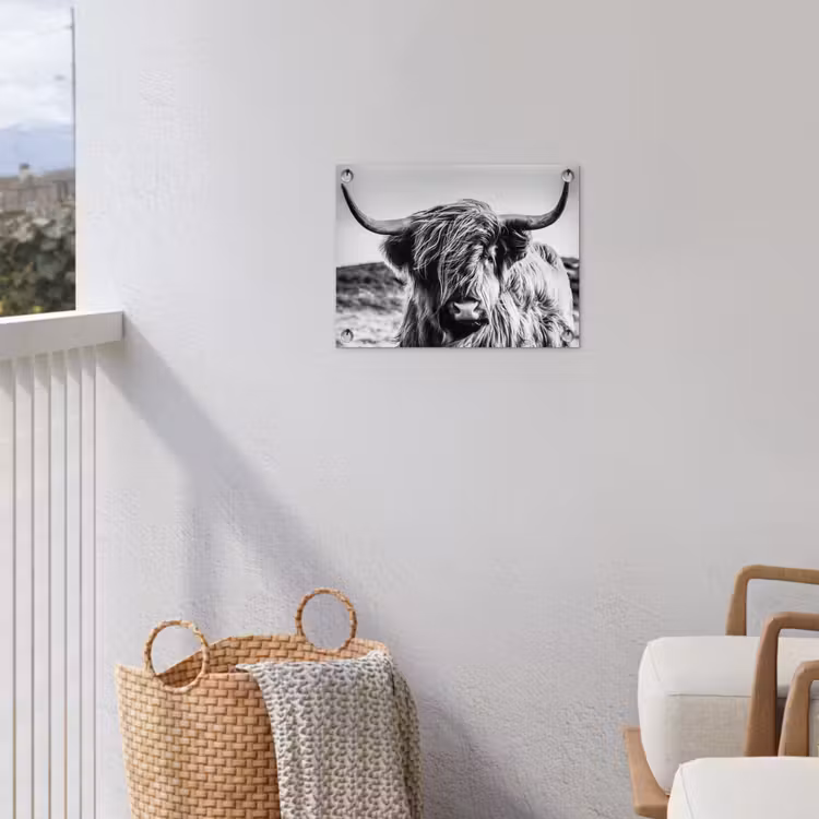 Koe - Schotse hooglander - Zwart - Wit - Dier - Natuur - Wild tuinposter los doek klein -sfeer8