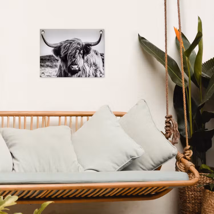 Koe - Schotse hooglander - Zwart - Wit - Dier - Natuur - Wild tuinposter los doek klein -sfeer7