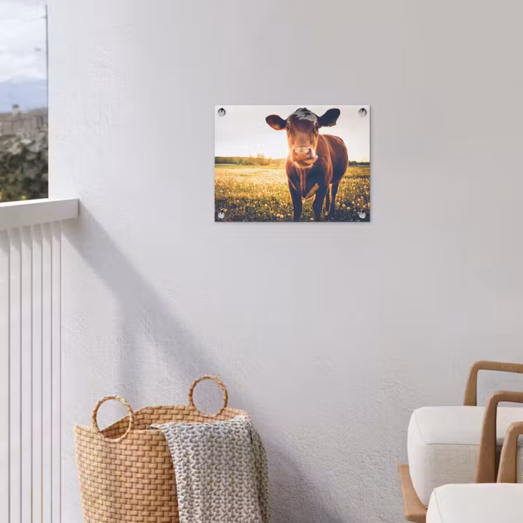Koe - Zonsondergang - Bloemen - Gras - Dieren tuinposter los doek klein -sfeer8