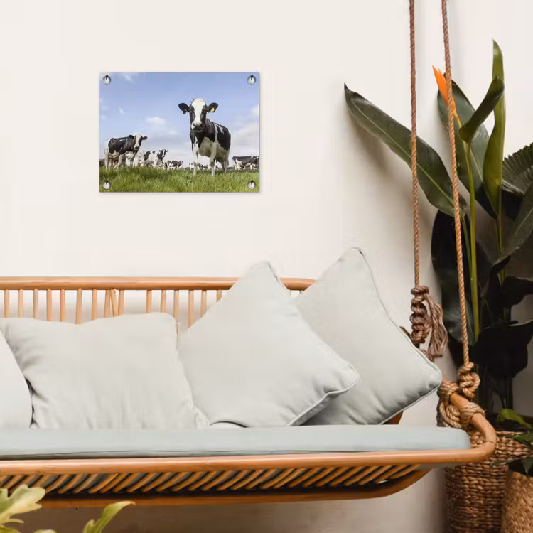 Koeien - Gras - Dieren - Zon - Boerderij tuinposter los doek klein -sfeer7