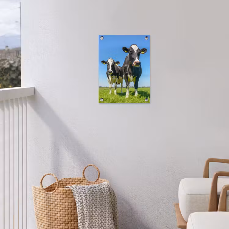 Koeien op een zonnige dag in de wei tuinposter los doek klein -sfeer8