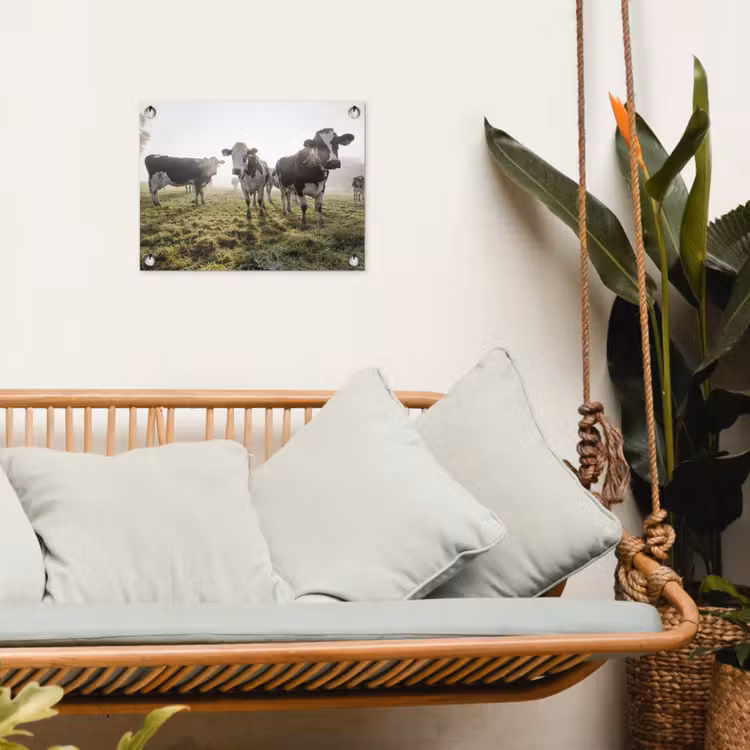Koeien - Licht - Gras - Dieren tuinposter los doek klein -sfeer7