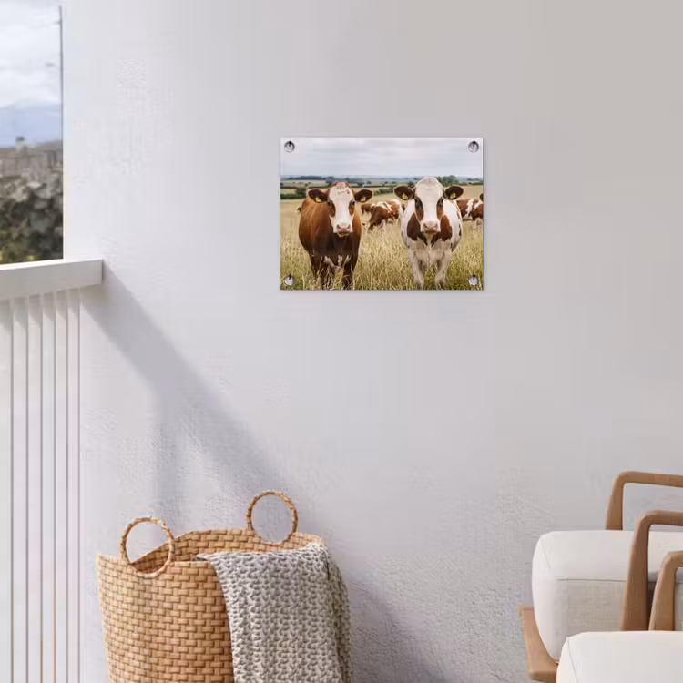 Koeien - Portret - Weide - Boerderij - Nieuwsgierig tuinposter los doek klein -sfeer8