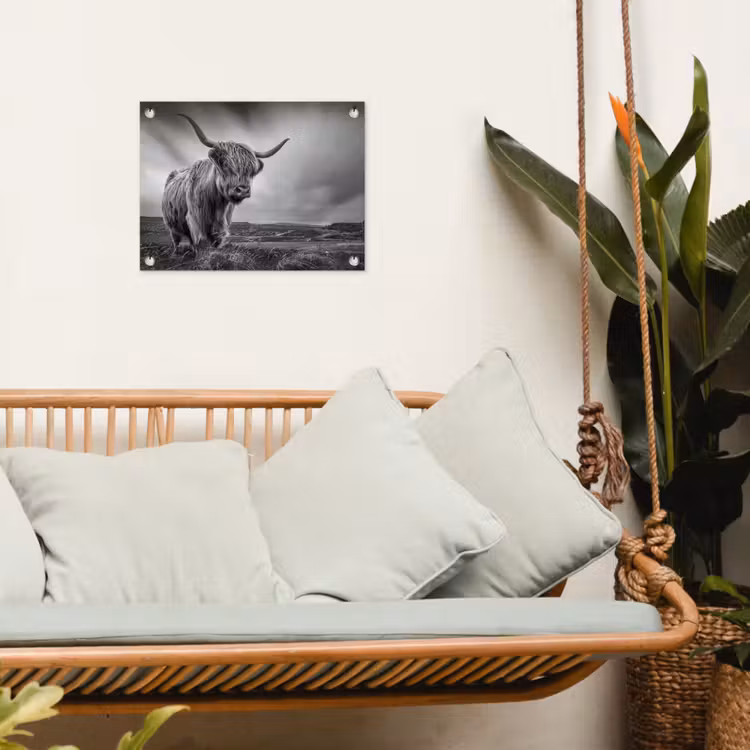 Koeien - Schotse hooglander - Natuur - Dieren - Zwart wit tuinposter los doek klein -sfeer7