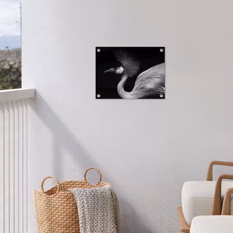 Kraanvogel - Zwart - Wit - Vogel - Dieren tuinposter los doek klein -sfeer8