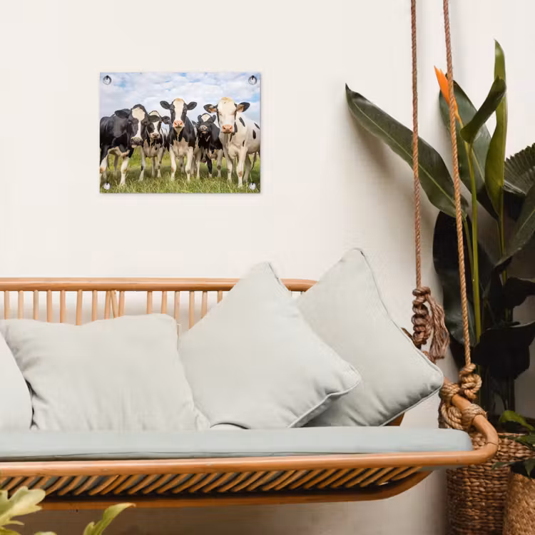 Nieuwsgierige koeien in de wei tuinposter los doek klein -sfeer7