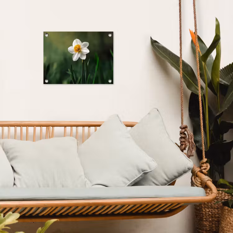 Narcis - Bloem - Wit - Grassprieten tuinposter los doek klein -sfeer7