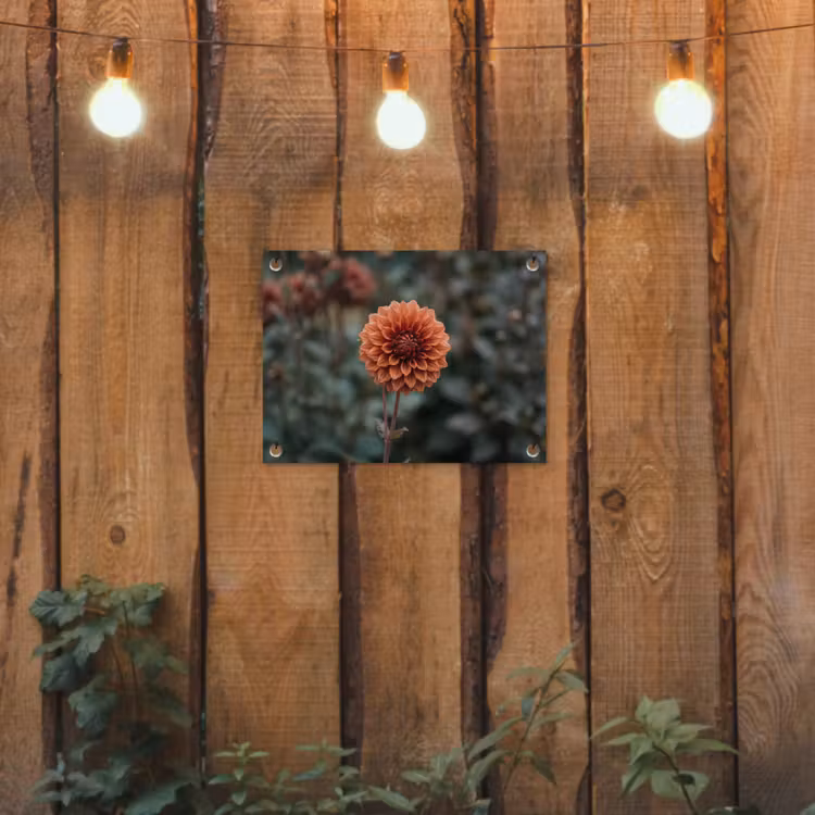 Dahlia - Bloem - Natuur - Sfeervol tuinposter los doek klein -sfeer1