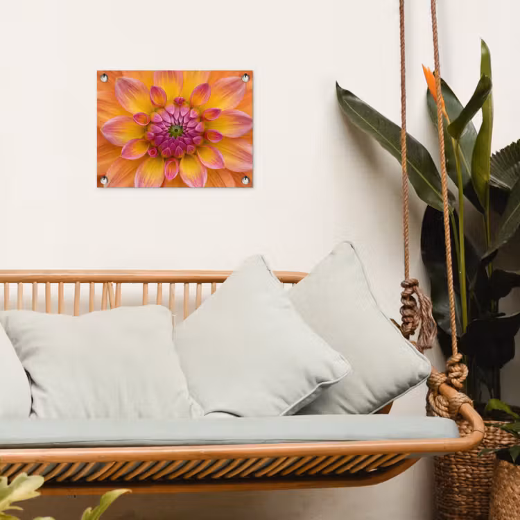 Dahlia - Bloem - Oranje tuinposter los doek klein -sfeer7