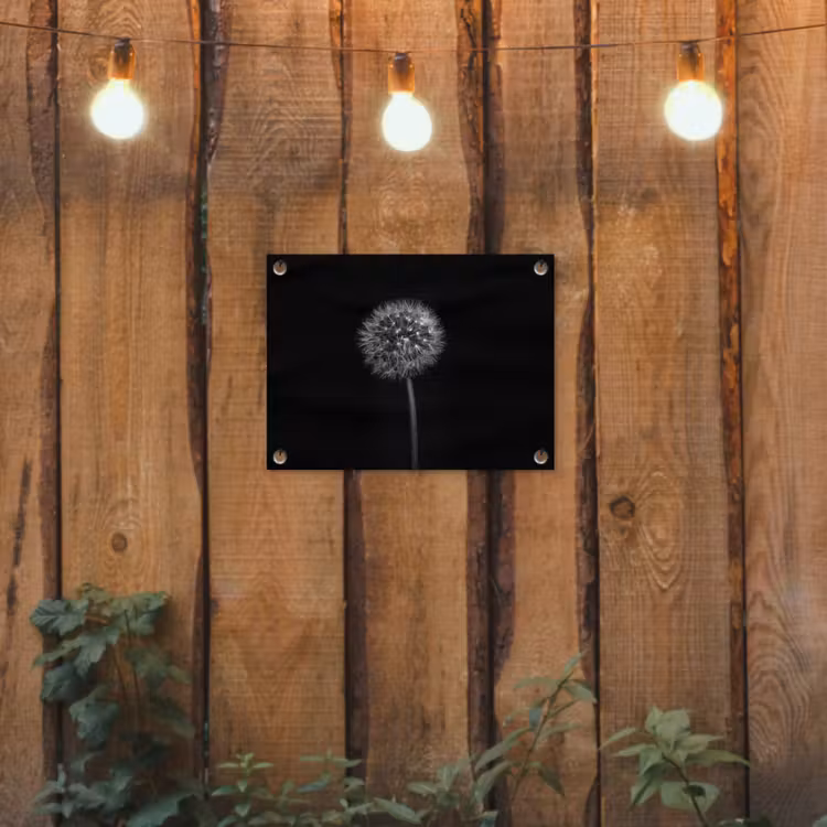 Paardenbloem - Zwart - Bloemen - Botanisch tuinposter los doek klein -sfeer1