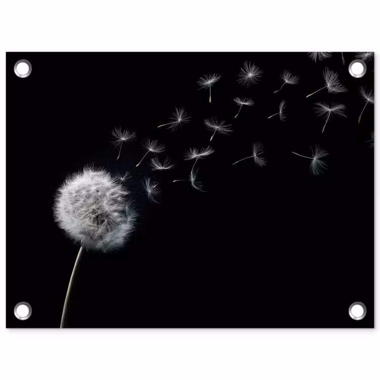 Paardenbloem - Zwart - Natuur tuinposter los doek klein -3d