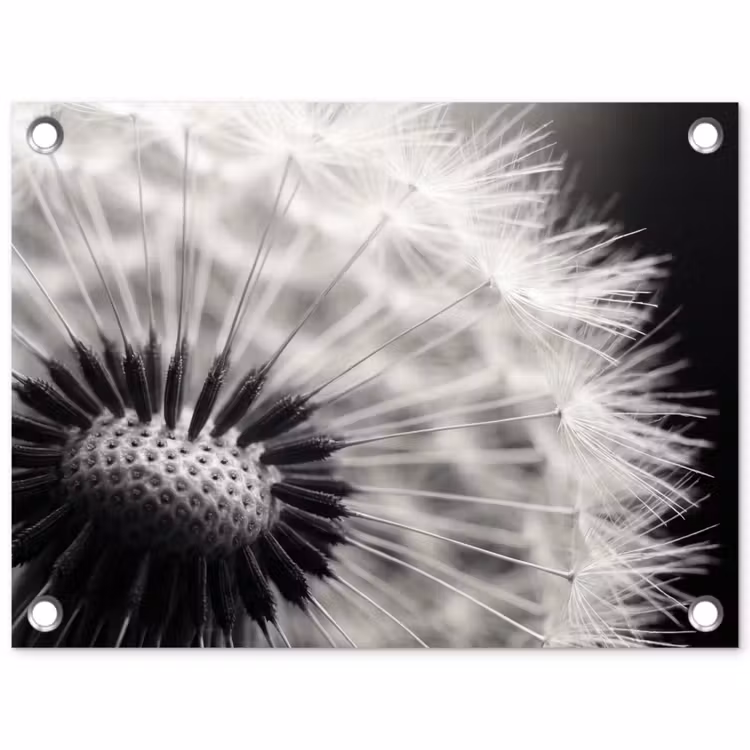 Paardenbloem - Zwart - Wit tuinposter los doek klein -3d