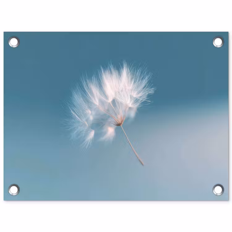 Paardenbloempluisje - Blauw - Lucht tuinposter los doek klein -3d