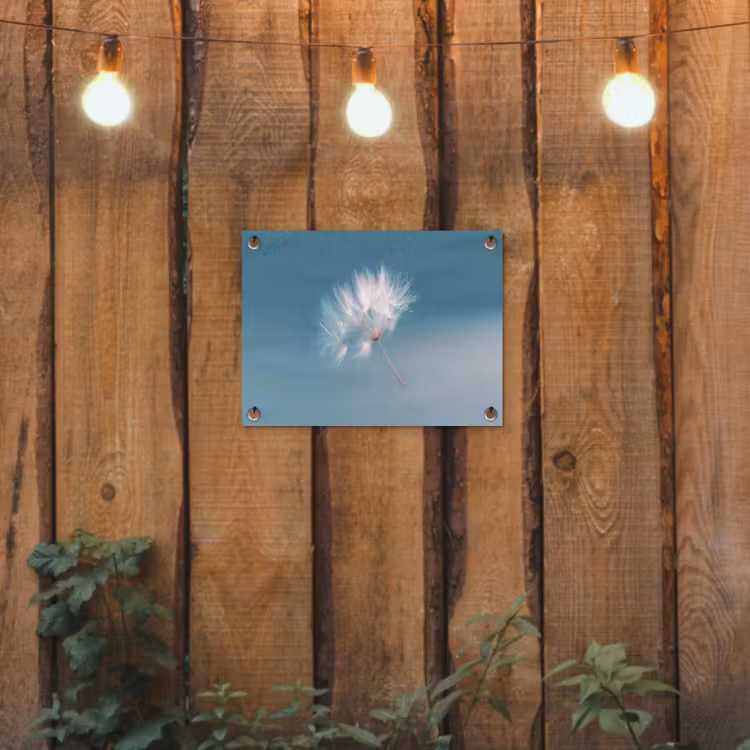 Paardenbloempluisje - Blauw - Lucht tuinposter los doek klein -sfeer1