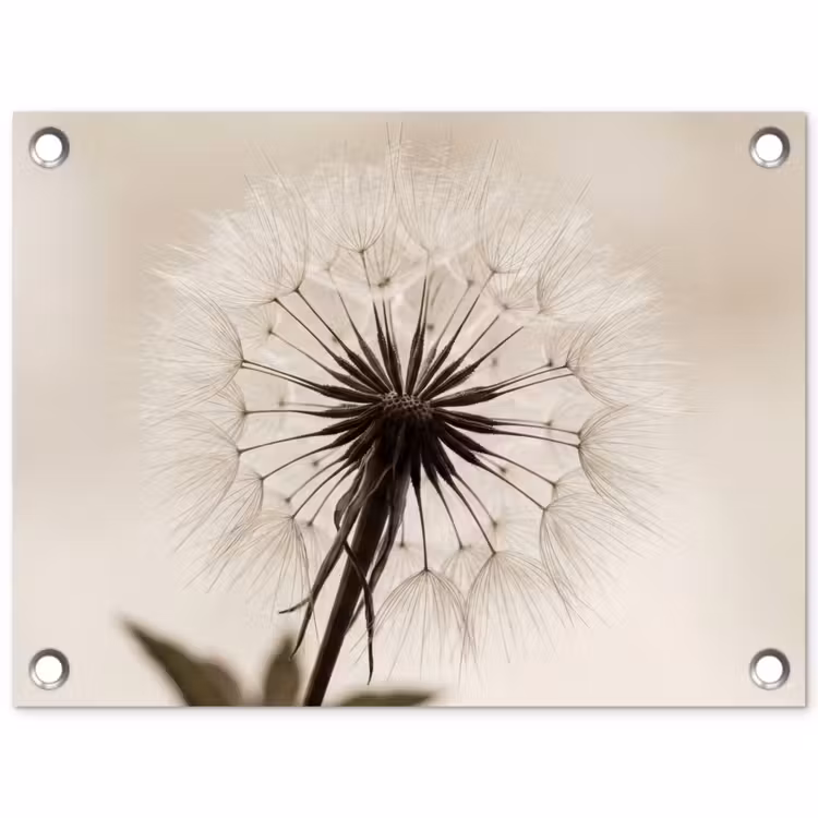 Paardenbloem - Minimalistisch - Wit tuinposter los doek klein -3d