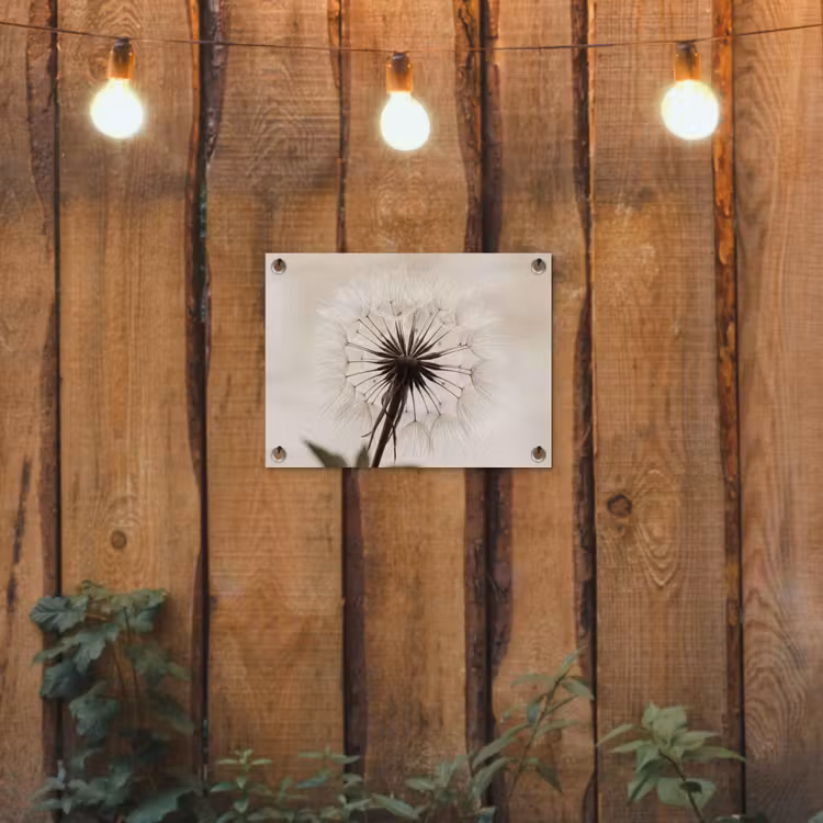 Paardenbloem - Minimalistisch - Wit tuinposter los doek klein -sfeer1