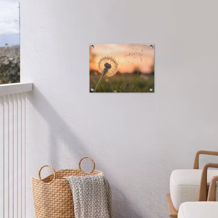 Paardenbloem - Zonsondergang - Veld tuinposter los doek klein -sfeer8