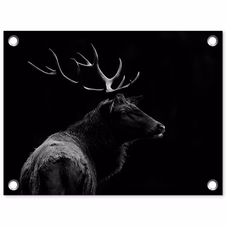 Hert - Zwart - Portret - Gewei - Dieren tuinposter los doek klein -3d