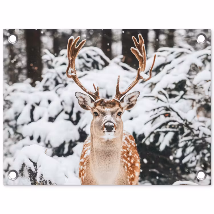 Hert - Sneeuw - Winter - Bos - Dieren tuinposter los doek klein -3d
