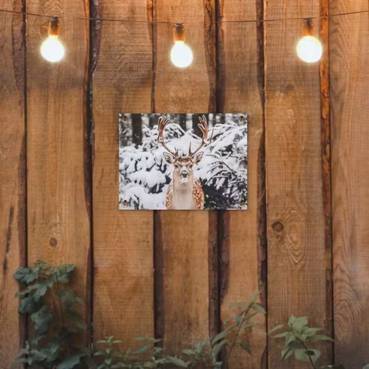 Hert - Sneeuw - Winter - Bos - Dieren tuinposter los doek klein -sfeer1