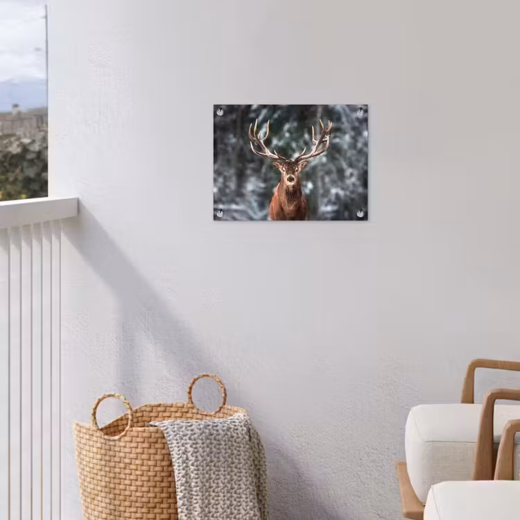 Hert - Winter - Sneeuw - Bos - Natuur - Dier tuinposter los doek klein -sfeer8