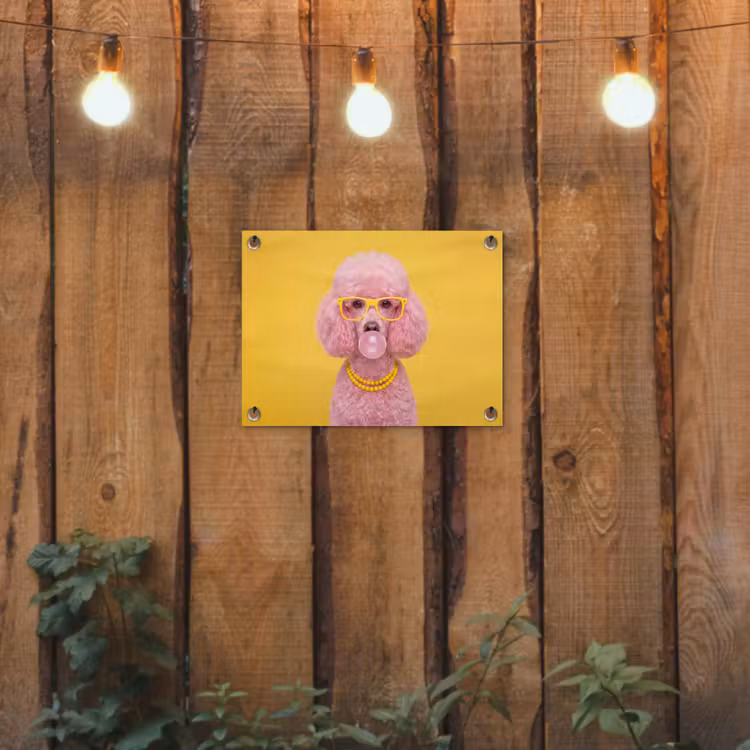 Hond - Kauwgum - Dieren - Modern - Roze tuinposter los doek klein -sfeer1
