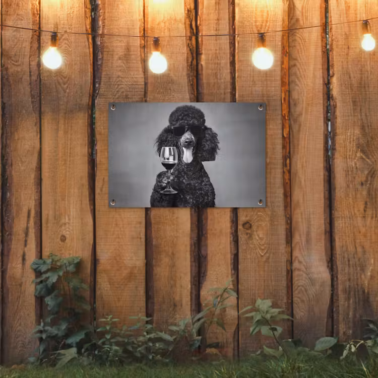 Hond - Krullen - Zonnebril - Wijn tuinposter los doek klein -sfeer1