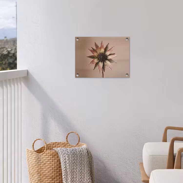 Droogbloem - Protea - Vintage - Beige - Rustiek tuinposter los doek klein -sfeer8