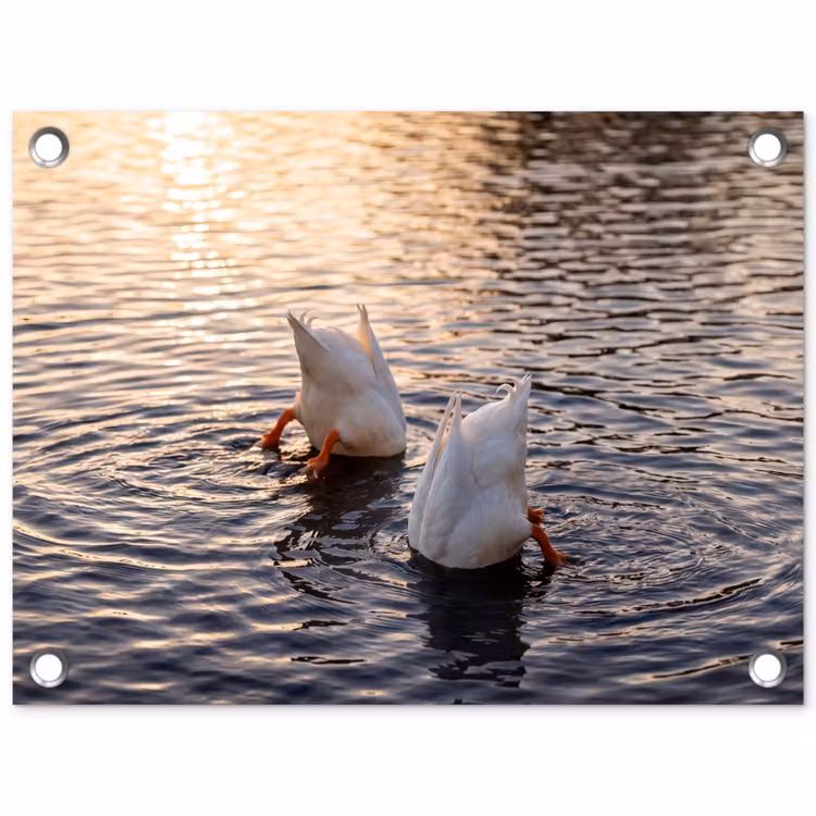 Eenden - Water - Natuur tuinposter los doek klein -3d